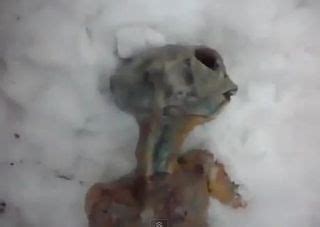 alien body russia|Viral Video of 'Alien' in Siberia a Convincing Fake.